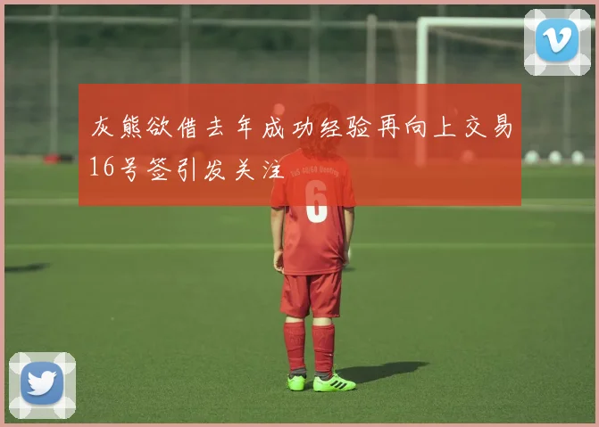 灰熊欲借去年成功经验再向上交易16号签引发关注